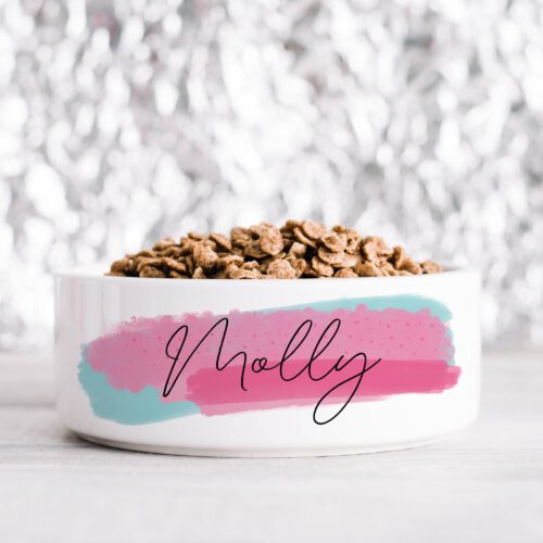 Bright Brush Pet Bowl