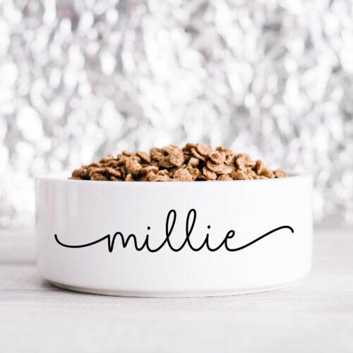 Fancy Name Pet Bowl