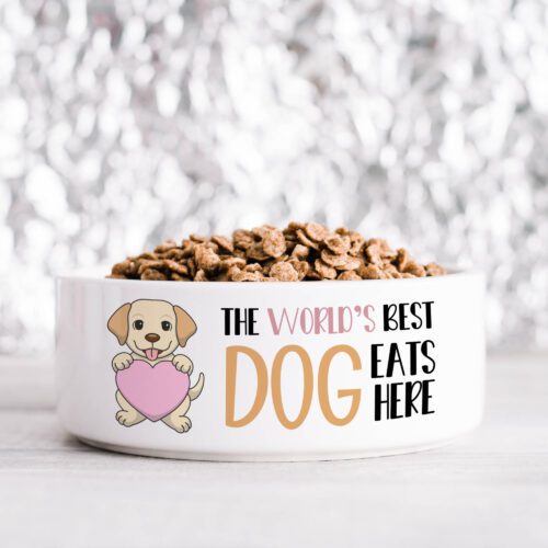 World's Best Dog Short Hair Pet Bowl
