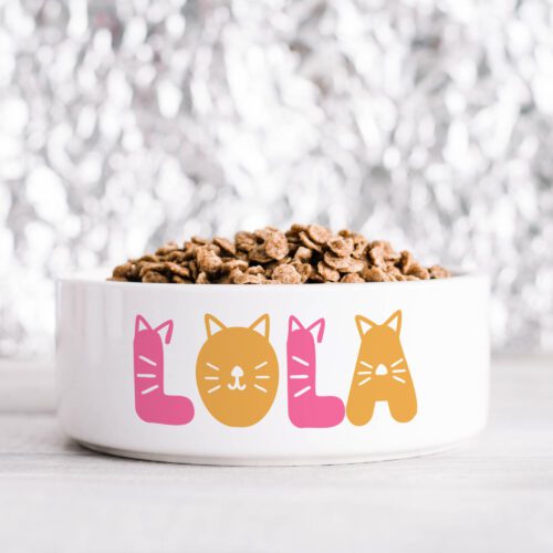 Pink & Orange Kitty Pet Bowl