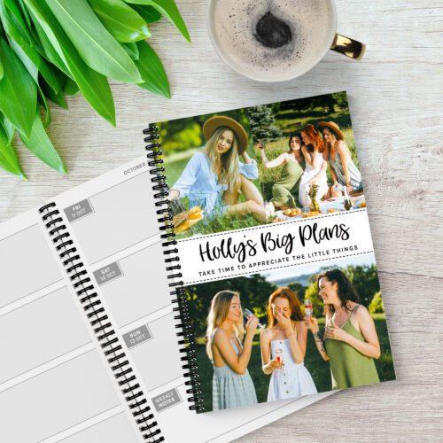 Three Photo White Strip 2025 Diary