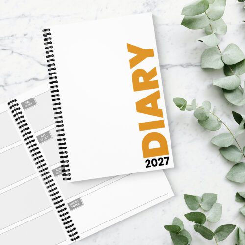 Bright & Bold Orange 2027 Diary